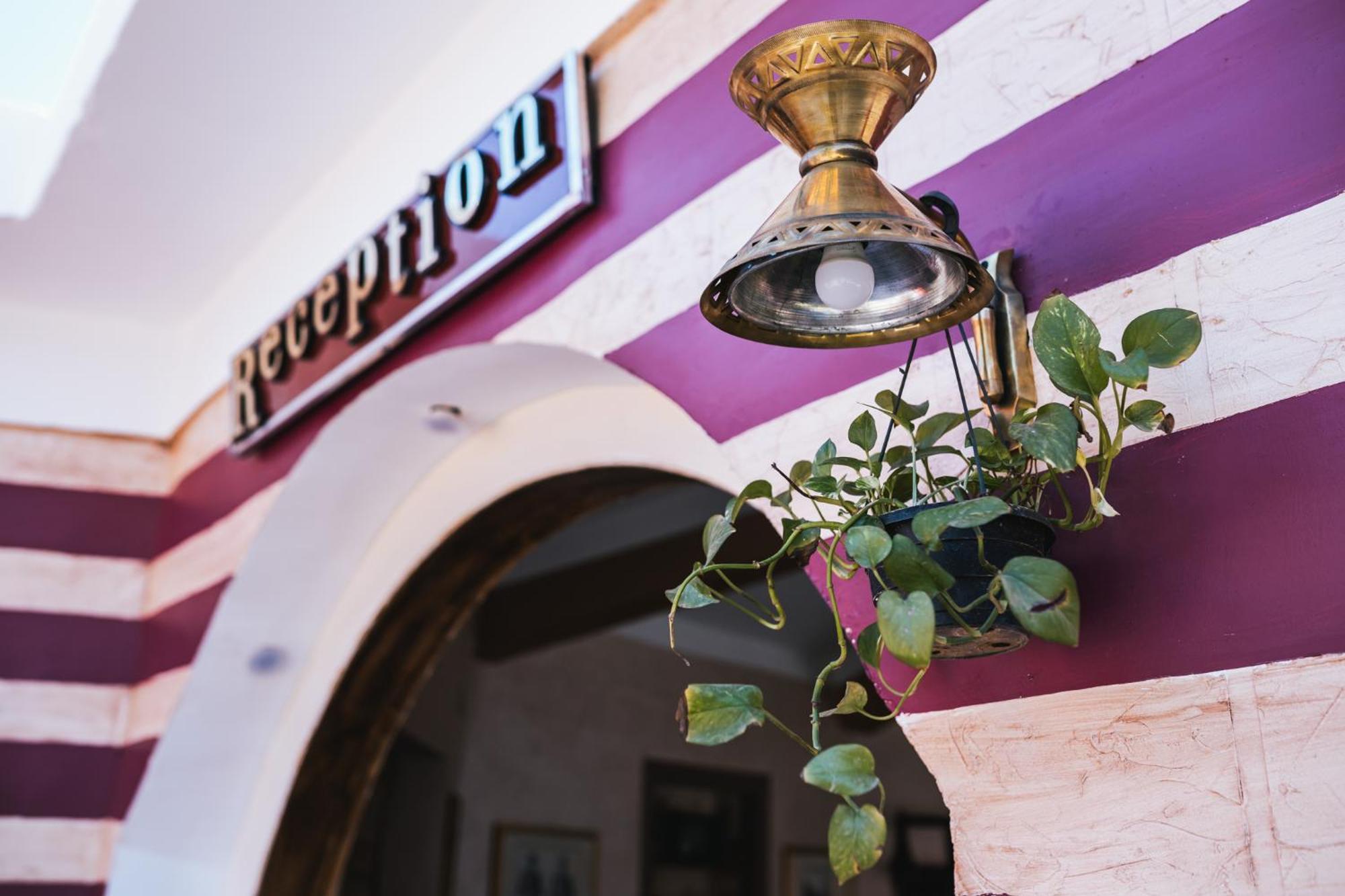 Tuya Hotel Abu Simbel Eksteriør billede